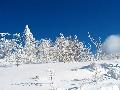 日本美麗雪景2