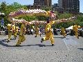 Falun dafa day in NYC-1