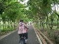 東豊自行車廊-7